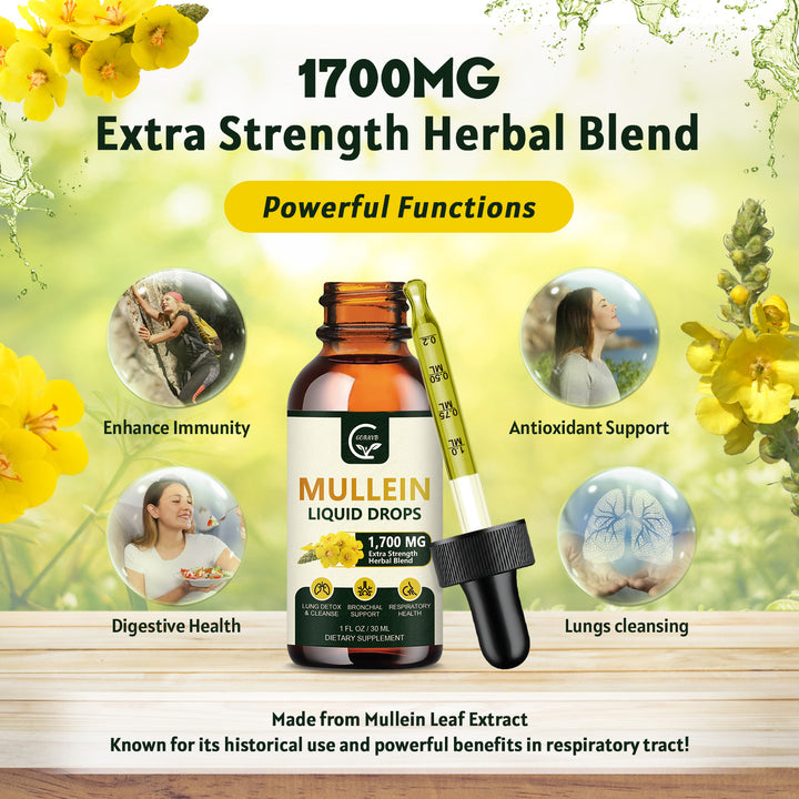 GORNVB 1700mg Mullein Liquid Drops with immune support, antioxidant, digestive health, and lung cleansing benefits