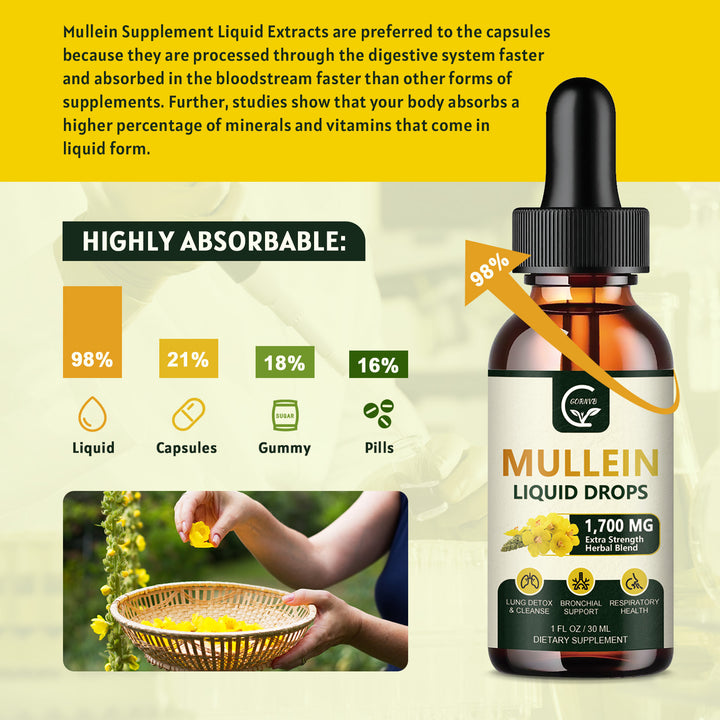 GORNVB Mullein Liquid Drops absorption comparison chart showing 98% absorption rate vs capsules and pills