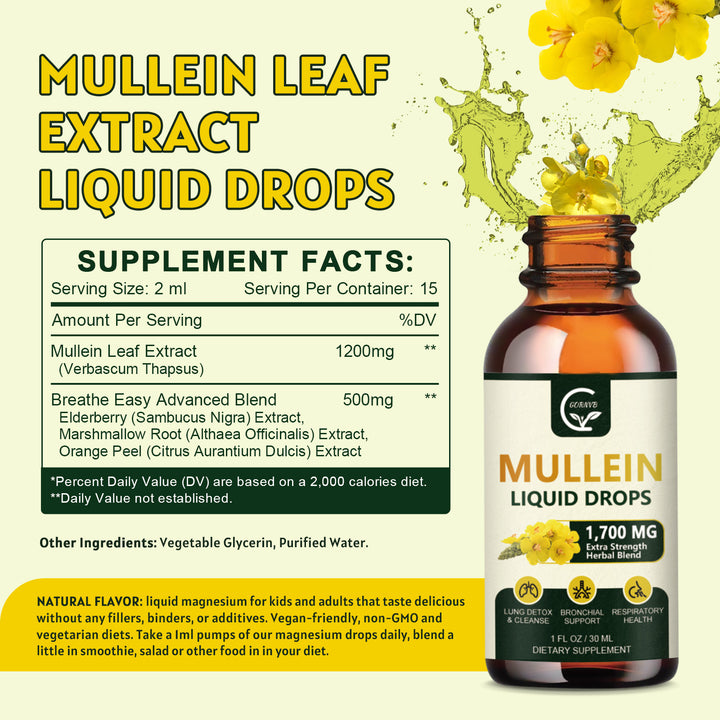 Supplement Facts and ingredients label of GORNVB Mullein Liquid Drops, featuring herbal extracts and dosage details