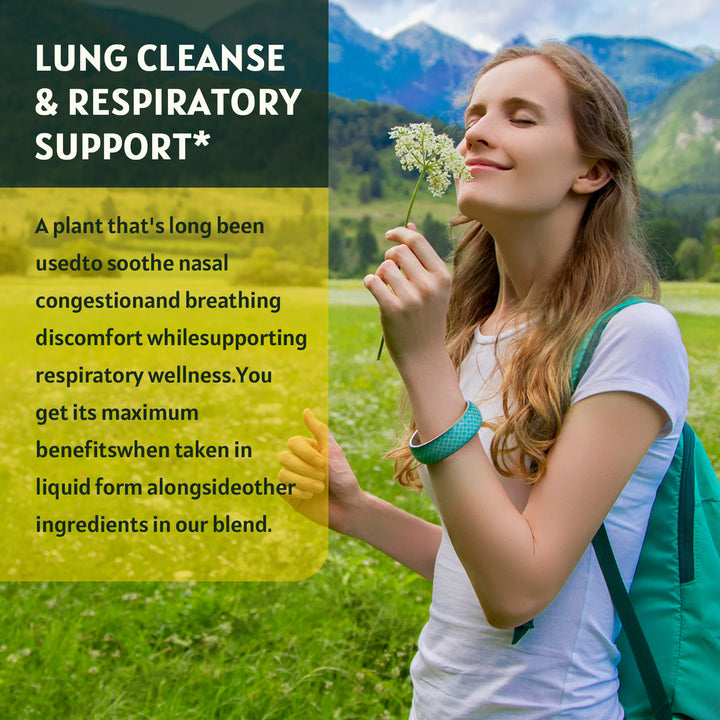 GORNVB Mullein Liquid Drops for lung cleanse, nasal congestion relief, and respiratory health support in liquid form